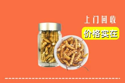 保定市涞源回收散虫草