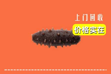 保定市涞源回收海参
