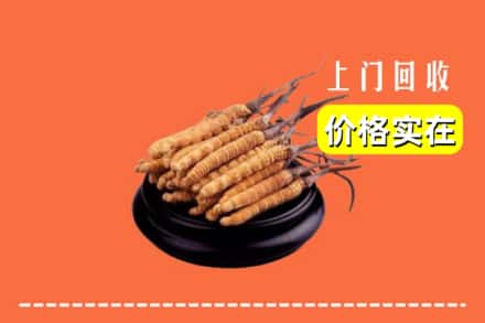 保定市涞源回收冬虫夏草